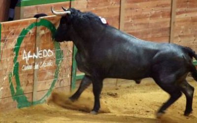 23 marzo 2019. EXCURSION A ARNEDO