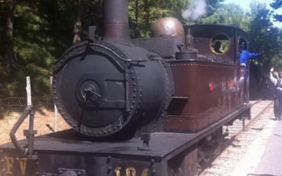 EXCURSIÓN A AZPEITIA