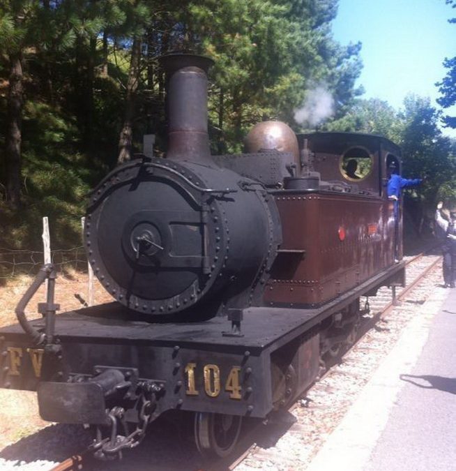 EXCURSIÓN A AZPEITIA