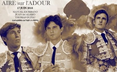 EXCURSION A AIRE SUR L´ADOUR