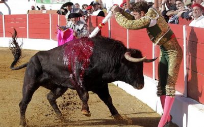 Coloquio con Manuel Escribano