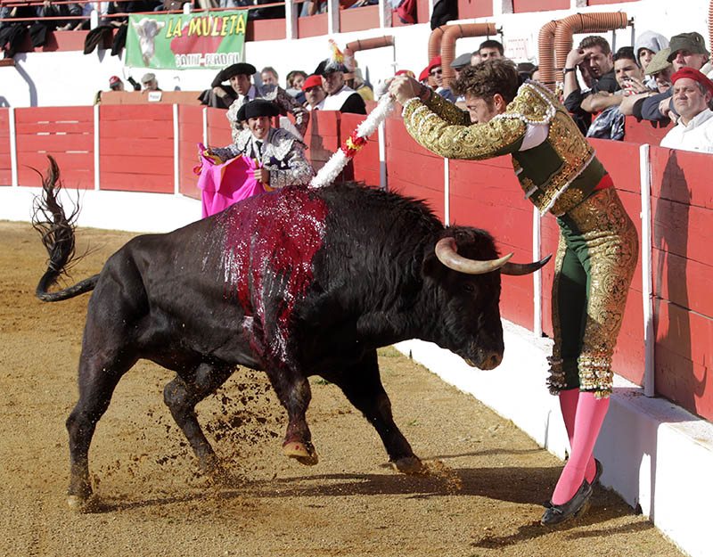 Coloquio con Manuel Escribano