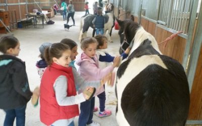 VISITA AL CLUB HIPICO DE OKENDO