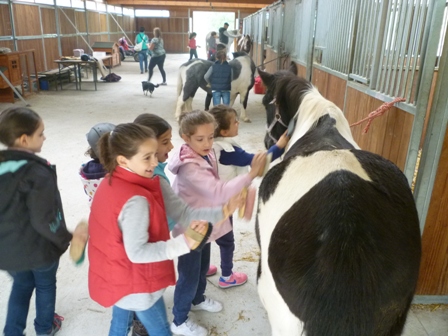 VISITA AL CLUB HIPICO DE OKENDO