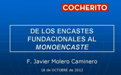 Tercera edición Curso de Tauromaquia Cocherito