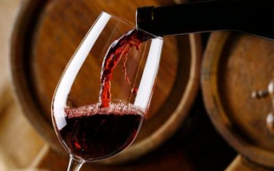 CATA – DEGUSTACION BODEGA MURILLO VITERI