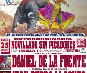 NOVILLADA EN TRUCIOS