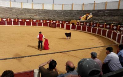 EXCURSIÓN A VALLADOLID
