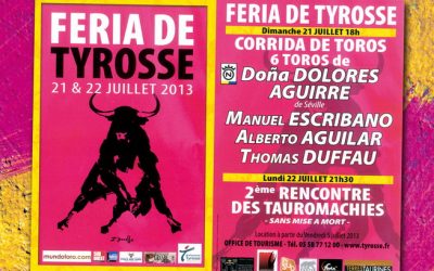EXCURSIÓN A SAINT VICENT DE TYROSSE (FRANCIA)