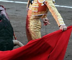 HOMENAJE A PACO UREÑA