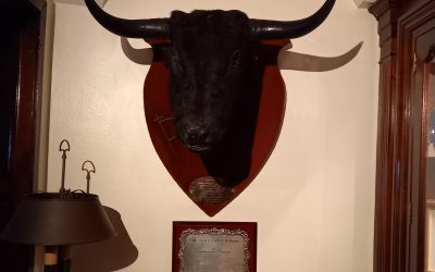 DIA INTERNACIONAL DE LA TAUROMAQUIA